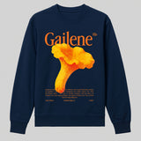 Džemperis GAILENE